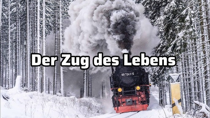 MEIN ZUG DES&nbsp;LEBENS