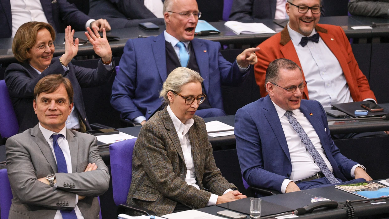 AfD-Wähler